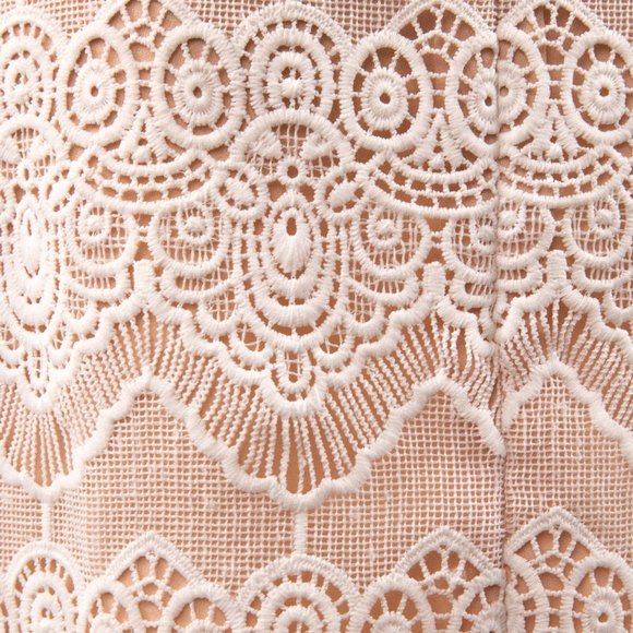 Greylin M Illusion Lace Sheath Mini Dress Pink - Picture 2 of 16